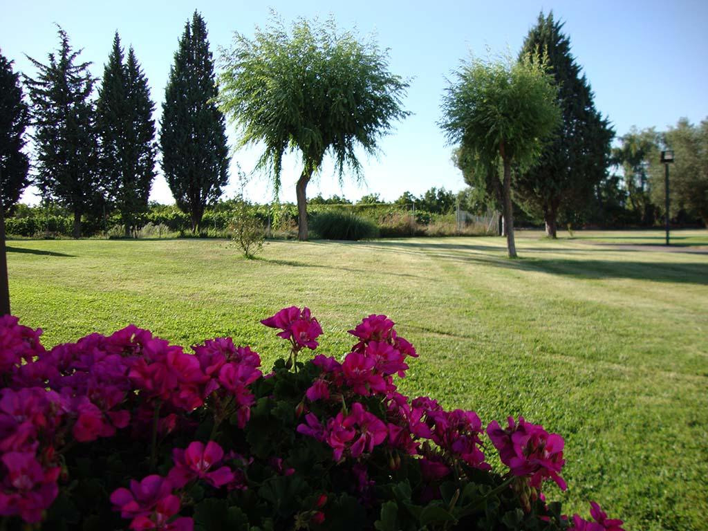 Hotel San Camilo Navarrete Kültér fotó